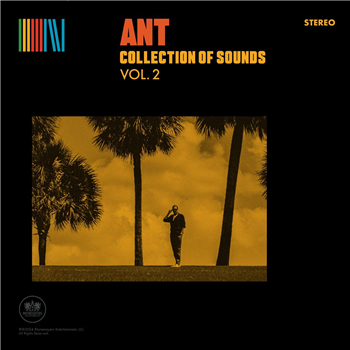 Ant - Collection of Sounds Vol. 2 - Yellow Vinyl - Rhymesayers