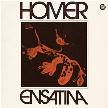 Homer - Ensatina - Orange Vinyl
 - BIG CROWN RECORDS