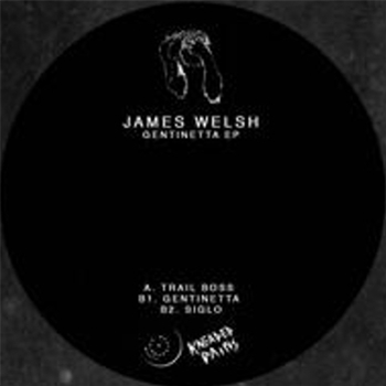 James Welsh - Gentinetta EP - Kneaded Pains