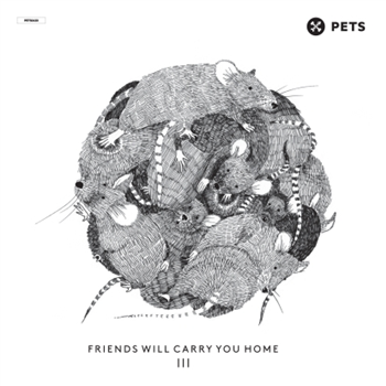 Friends Will Carry You Home 3 - V.A. (3 x 12") - Pets Recording